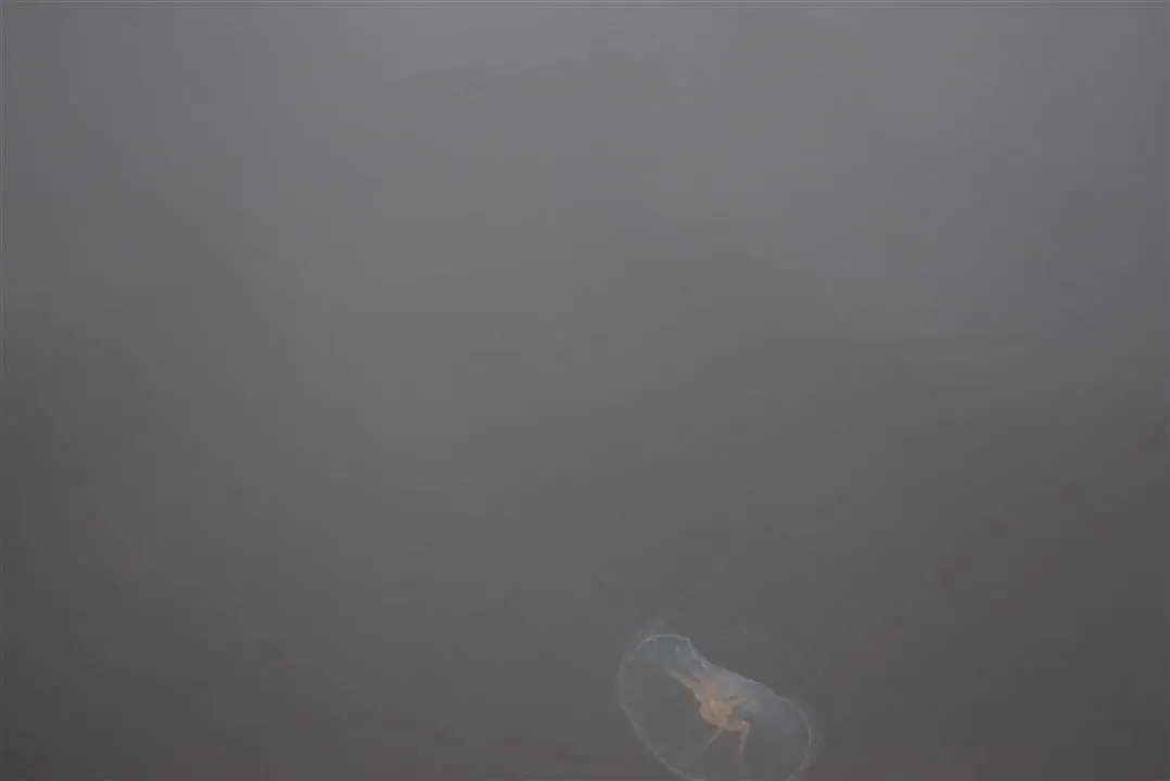 G21.3 mariager fjord ferry to hegedal   bramslev bakker fri 21 jul (14)